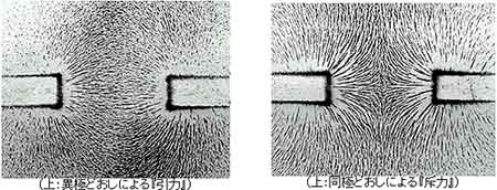 磁力線の方向に整列する鉄粉