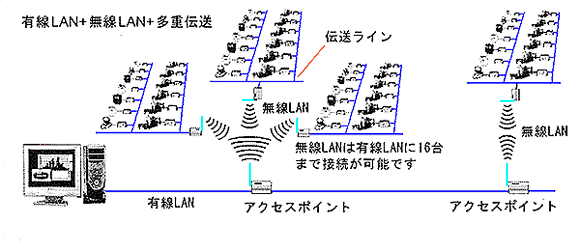 L LAN ⑽d`𕹗pVXe