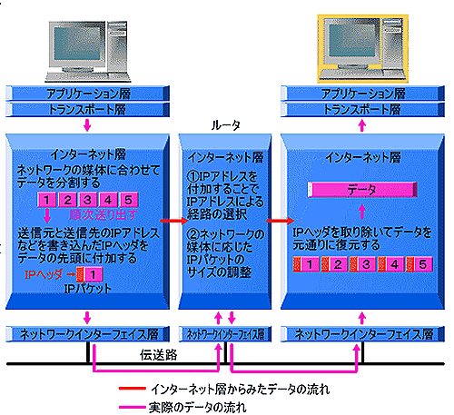 TCP/IP ̃C^[lbgw