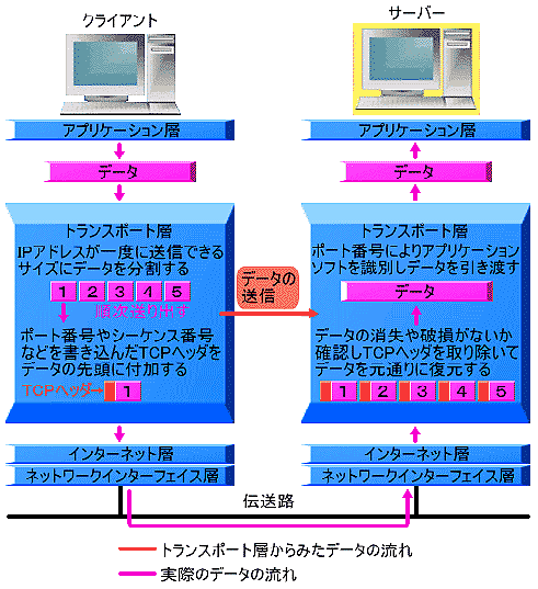 TCP/IP ̃gX|[gw