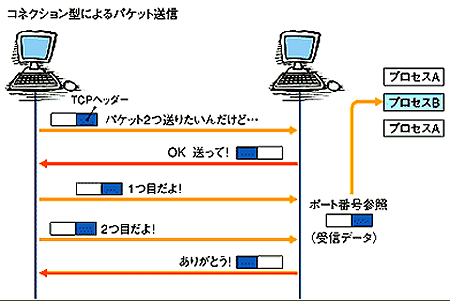 TCP ̃f[^̂