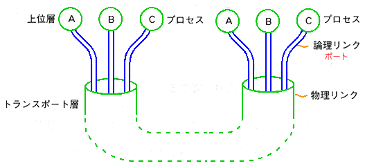 TCP ̑d