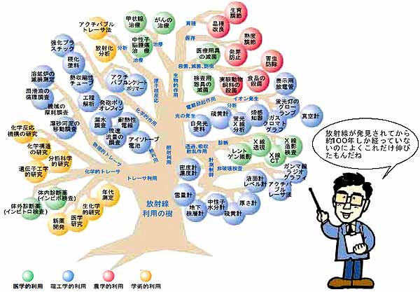 放射線の利用分野