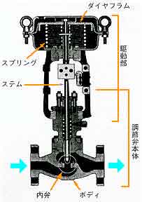 _Ctߕ