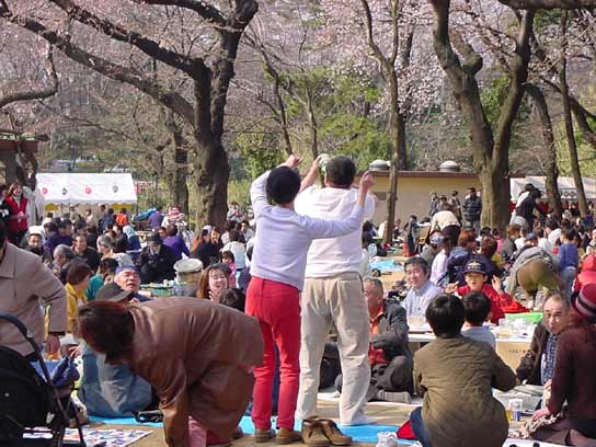 酒宴たけなわ