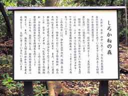 看板