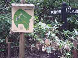 案内地図