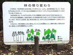 植生の変遷の説明