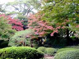 庭園